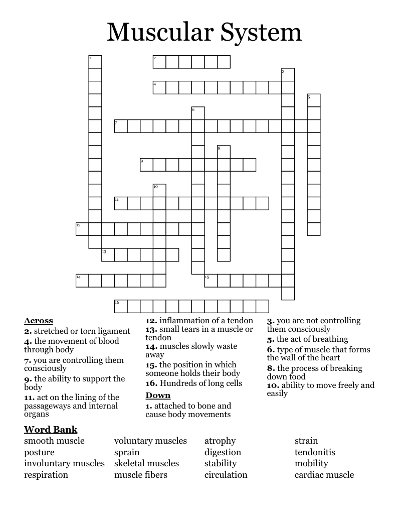 Muscular System Crossword