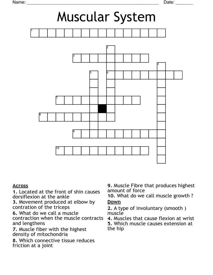 Muscular System Crossword