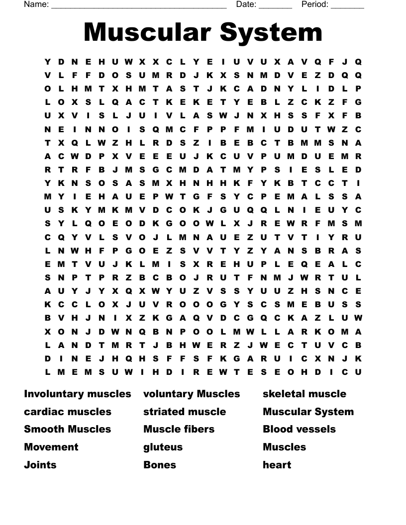 Muscular System Word Search