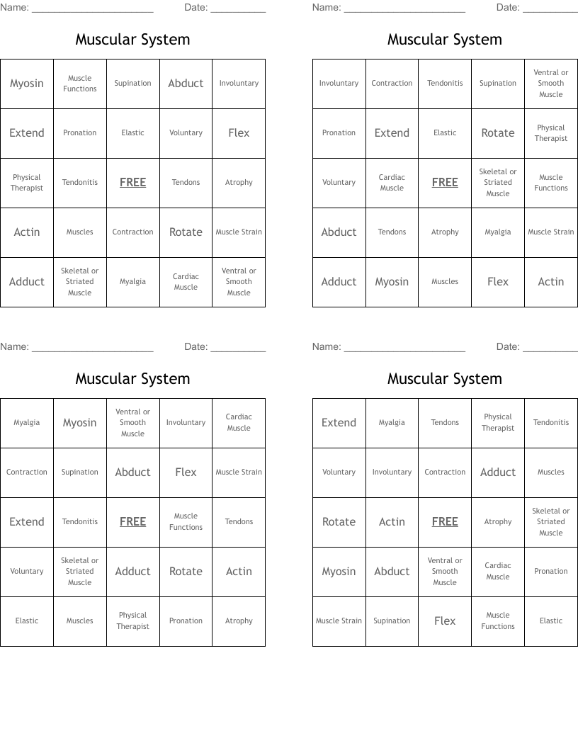 Muscular System Bingo Cards