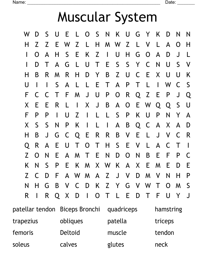 Muscular System Word Search