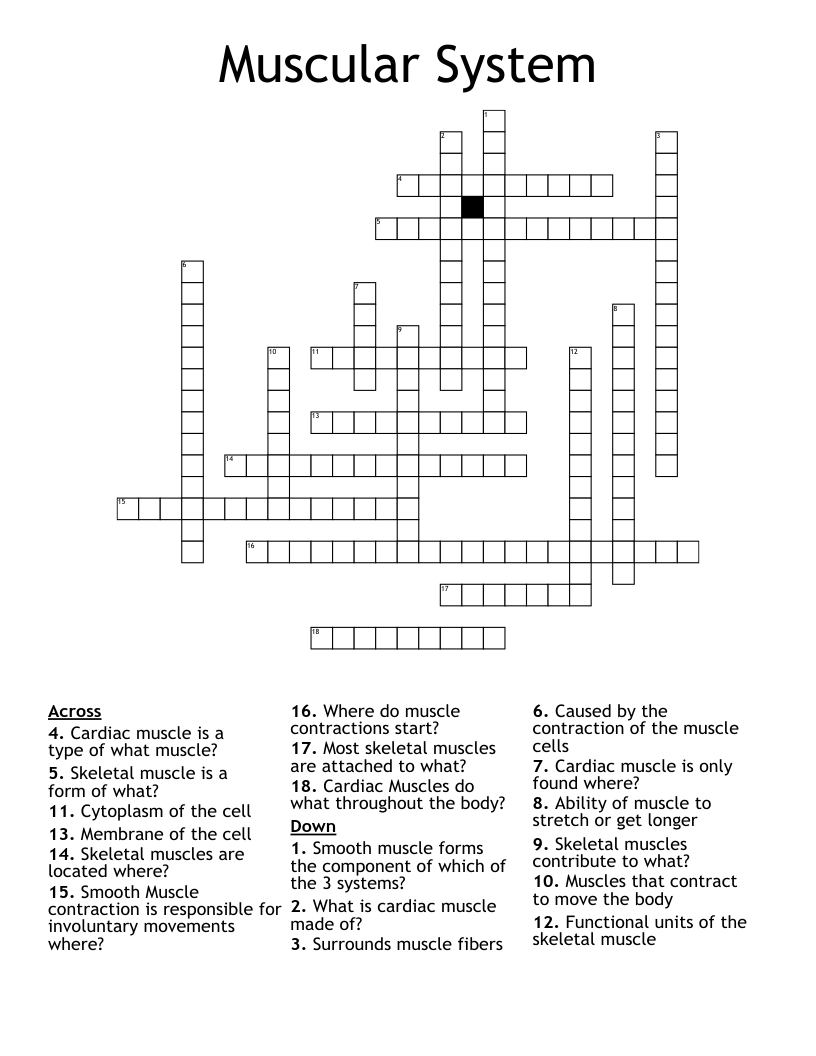 Muscular System Crossword