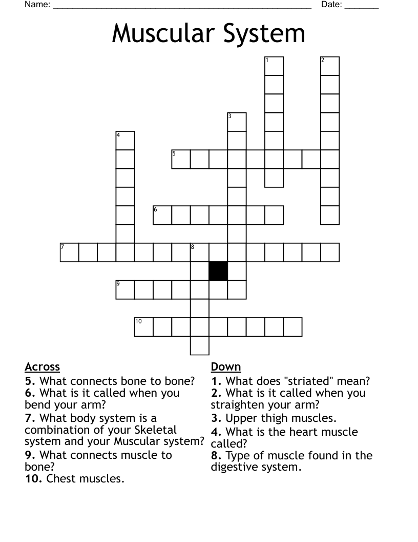 Muscular System Crossword