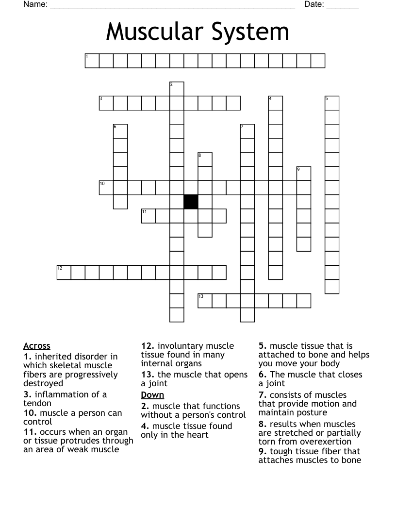 Muscular System Crossword