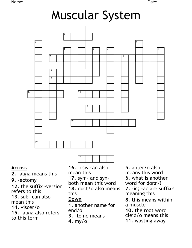 Muscular System Crossword