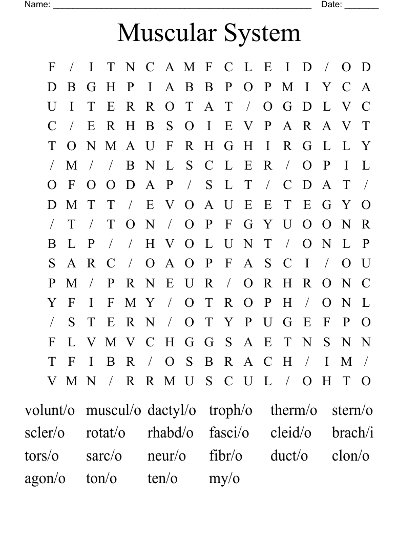 Muscular System Word Search