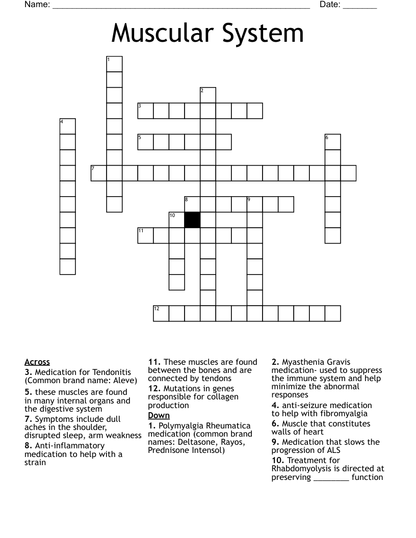 Muscular System Crossword