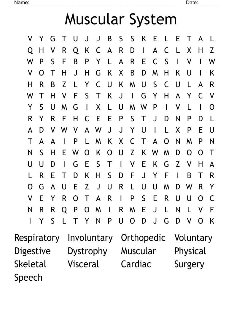 Muscular System Word Search