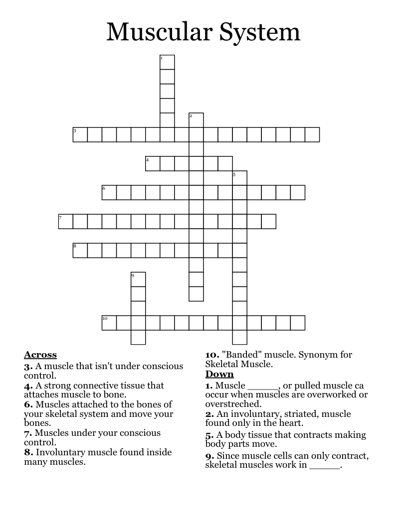 Muscular System Crossword