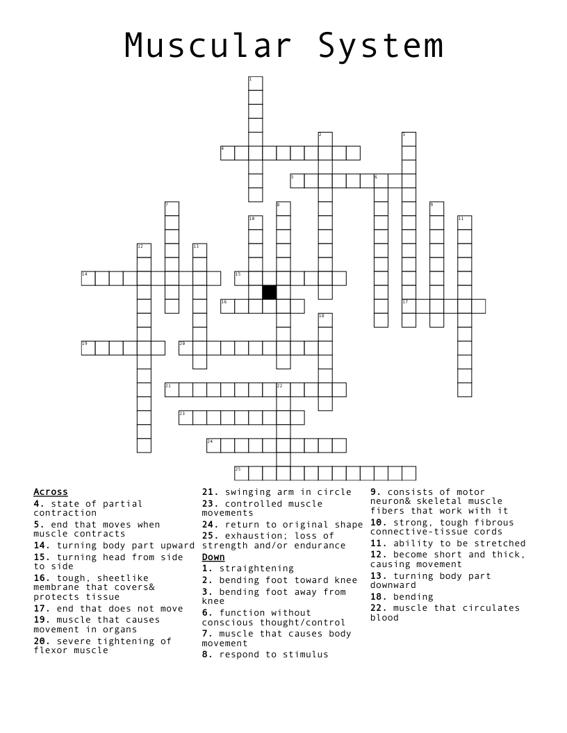 Muscular System Crossword