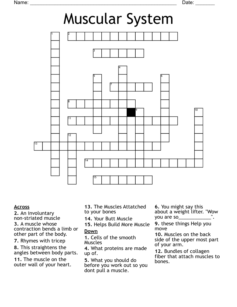 Muscular System Crossword
