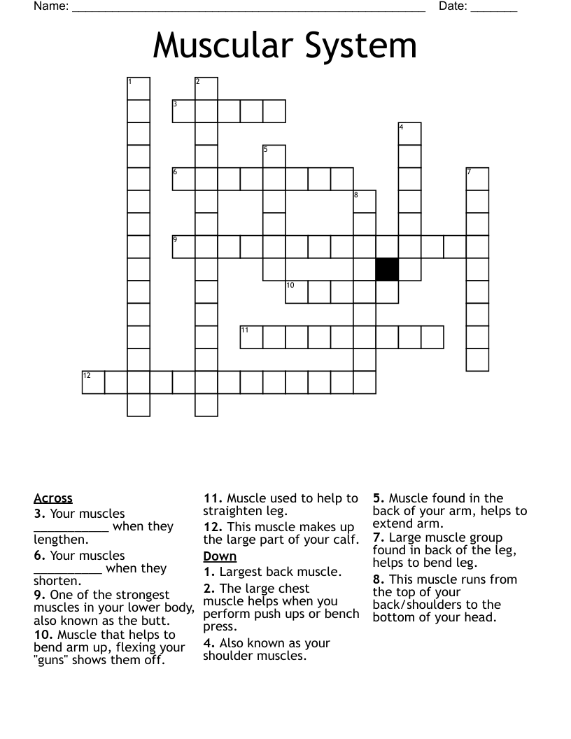Muscular System Crossword