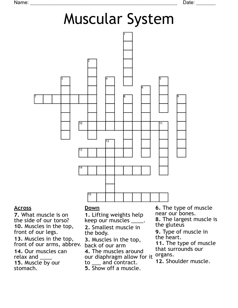 Muscular System Crossword