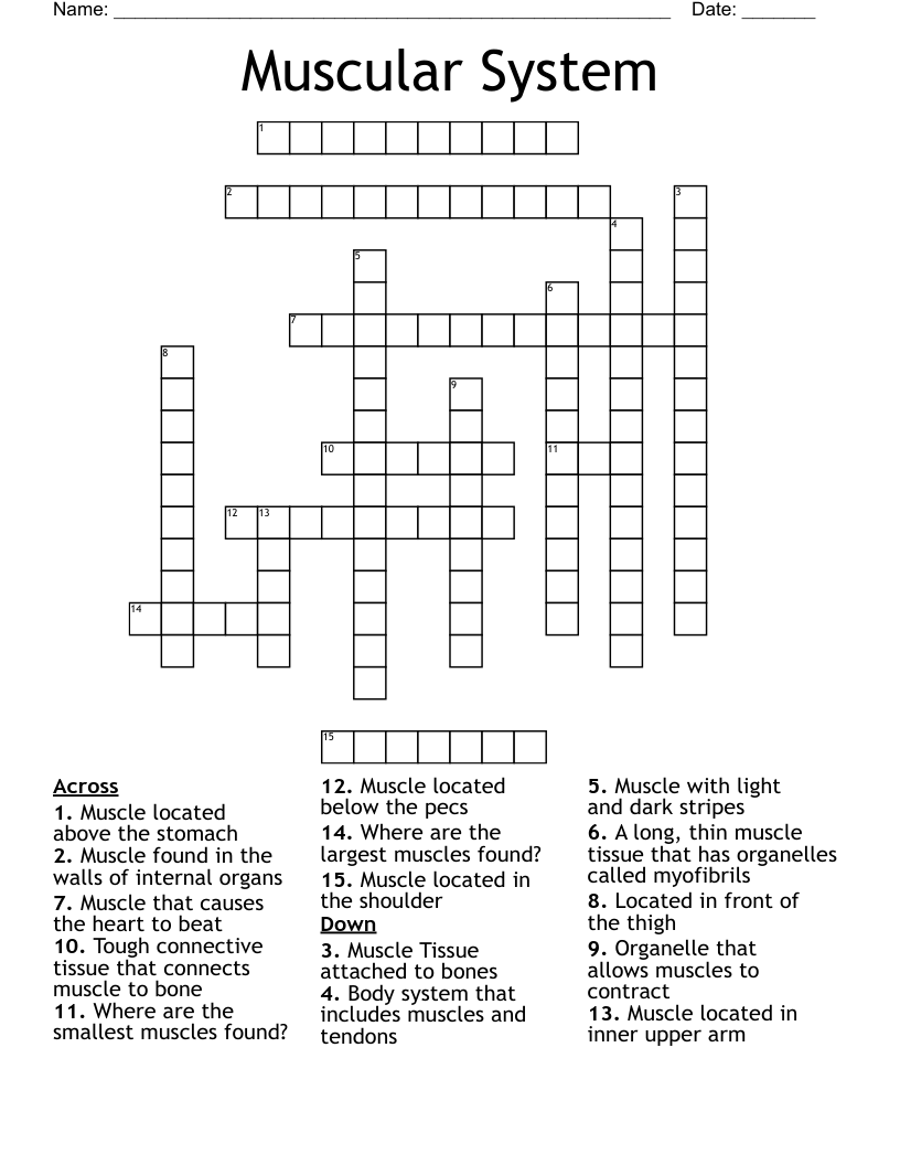 Muscular System Crossword