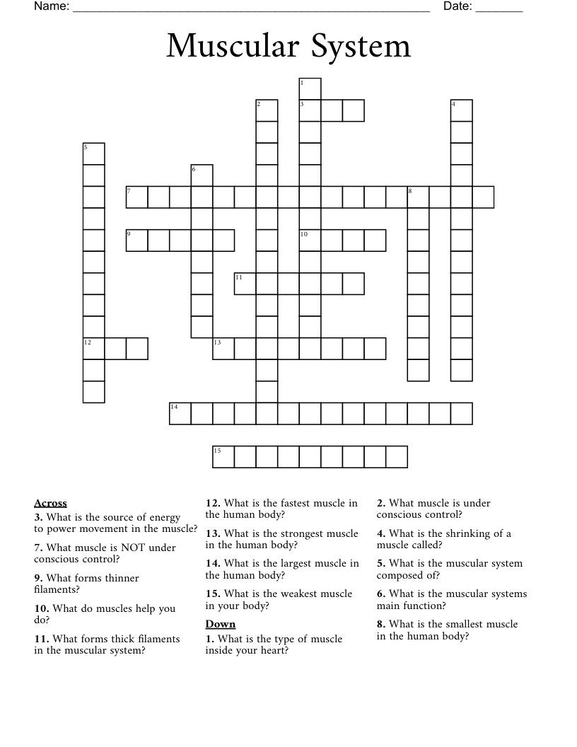 Muscular System Crossword