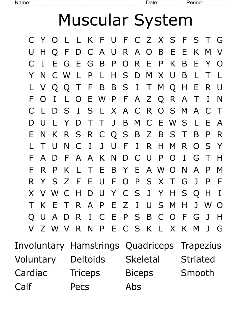 Muscular System Word Search