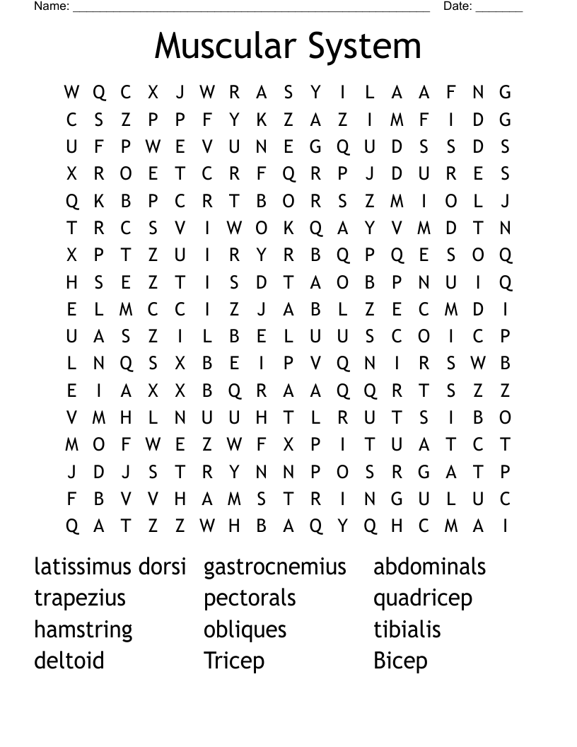 Muscular System Word Search