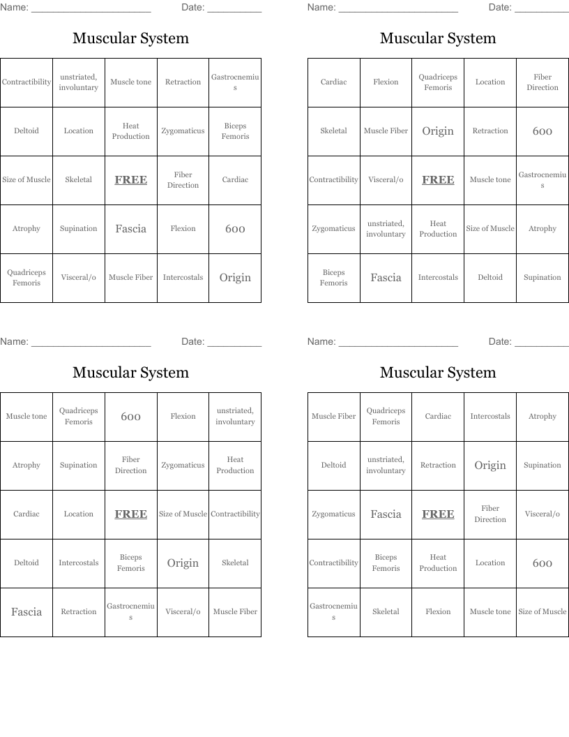Muscular System Bingo Cards