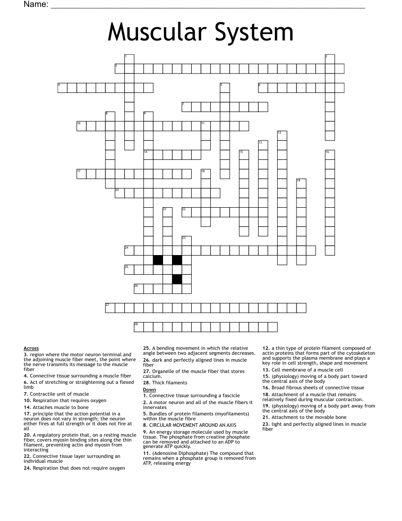 Muscular System Crossword