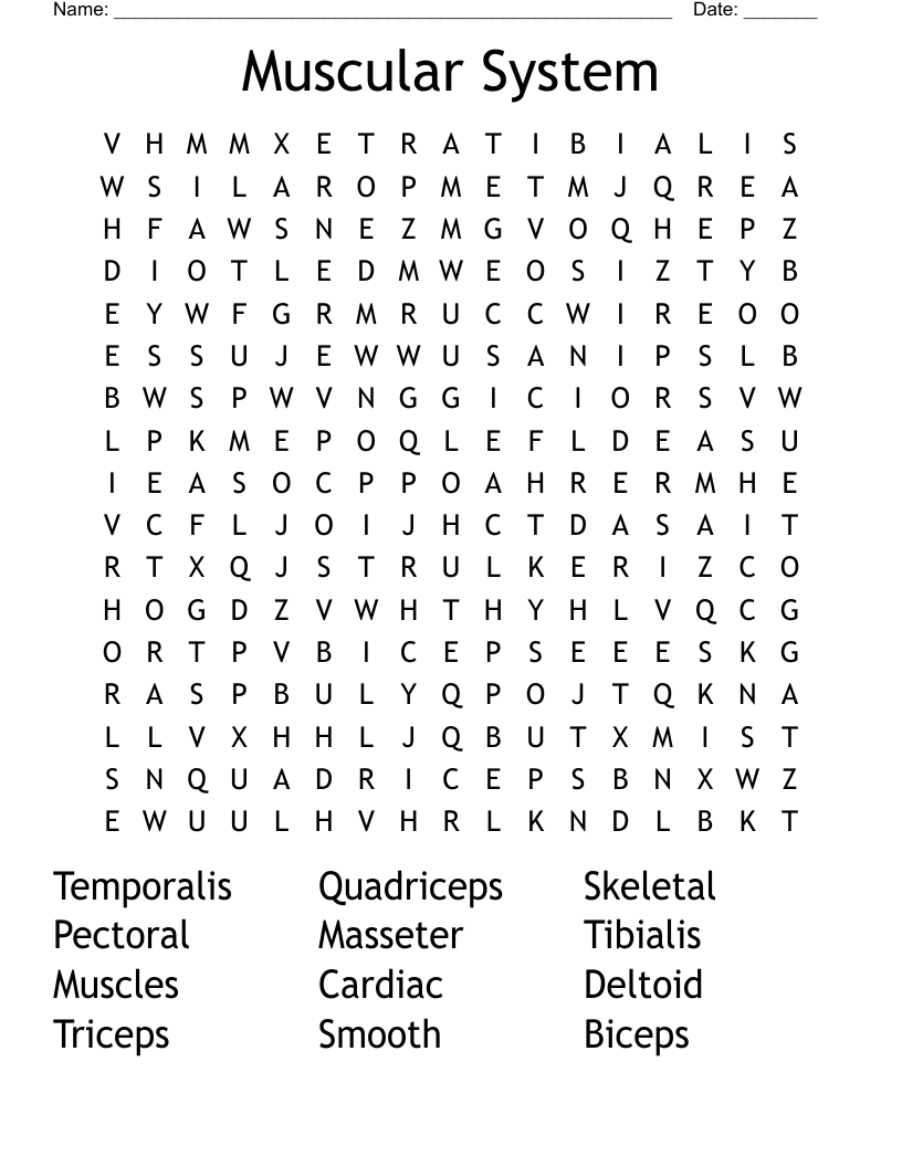 Muscular System Word Search