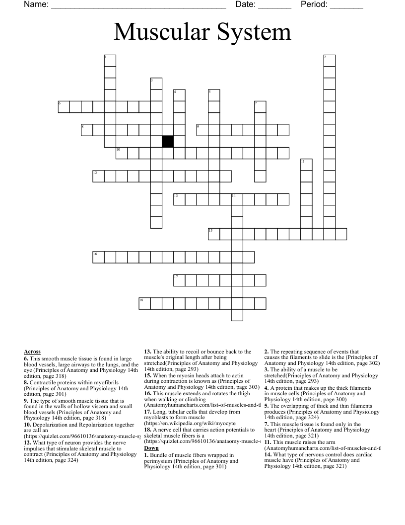 Muscular System Crossword
