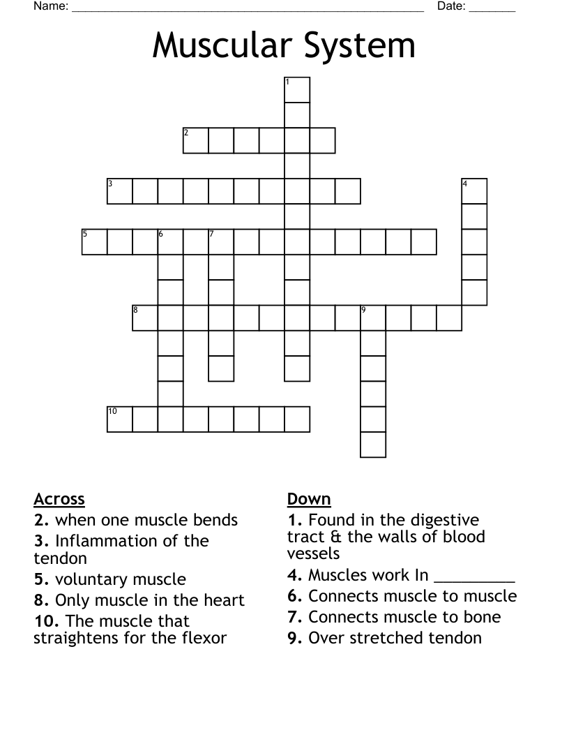 Muscular System Crossword