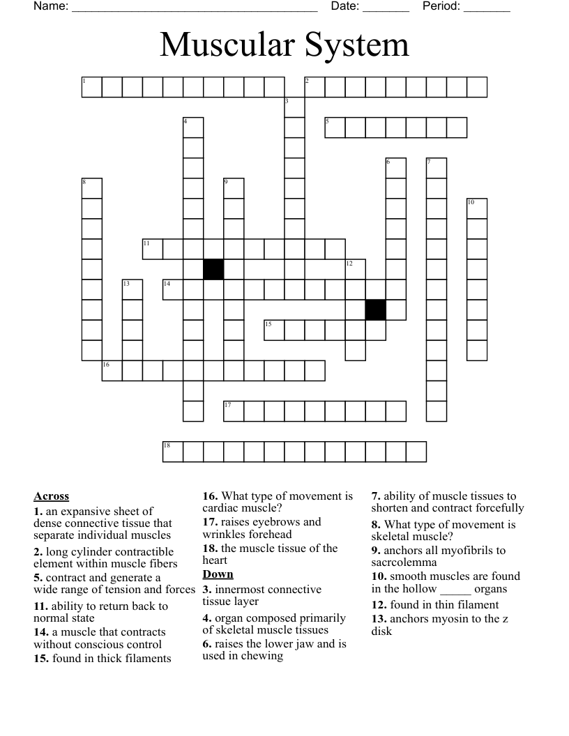 Muscular System Crossword