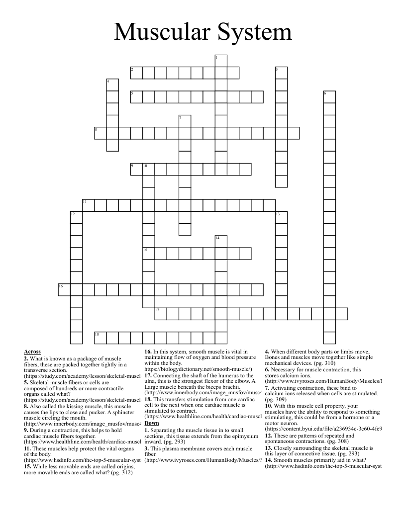 Muscular System Crossword