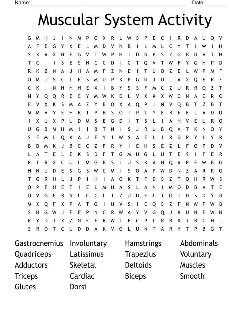Muscular System Activity Word Search
