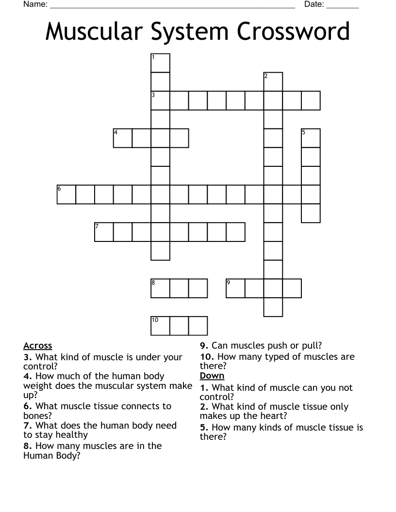 Muscular System Crossword
