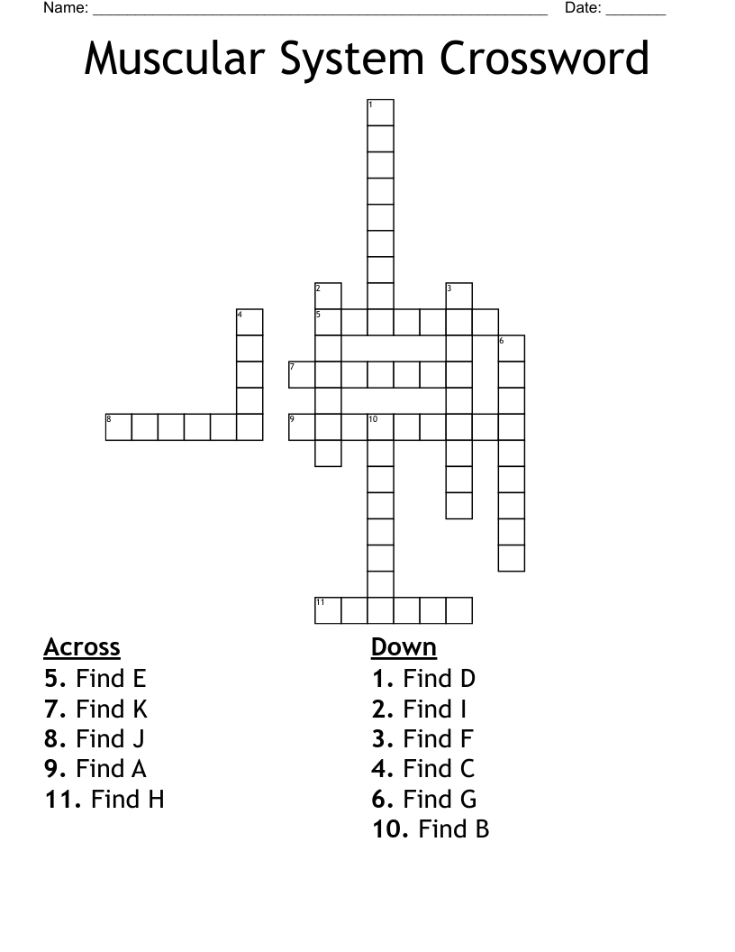 Muscular System Crossword