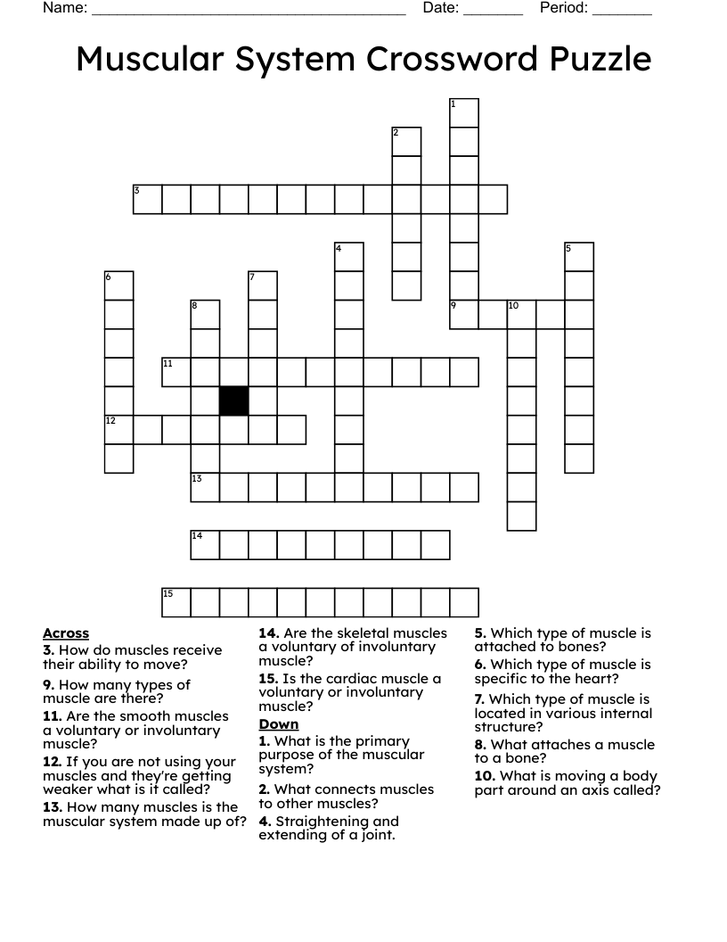Muscular System Crossword Puzzle