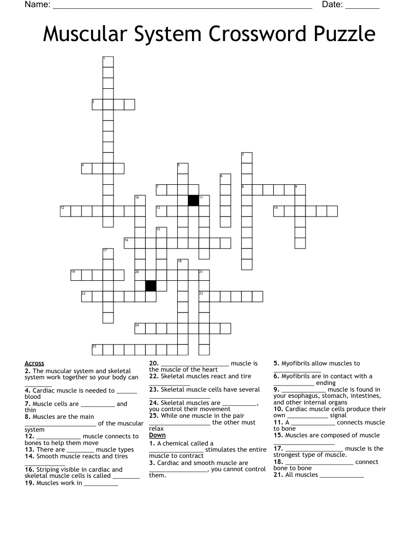 Muscular System Crossword Puzzle