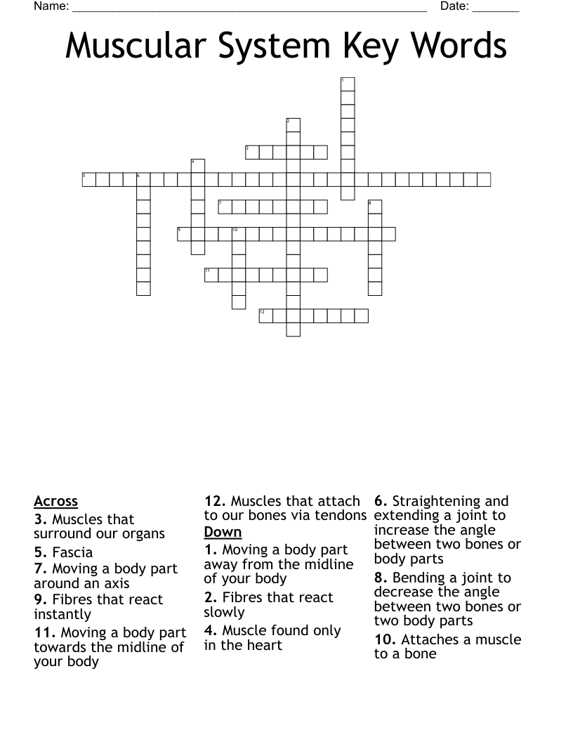 Muscular System Key Words Crossword