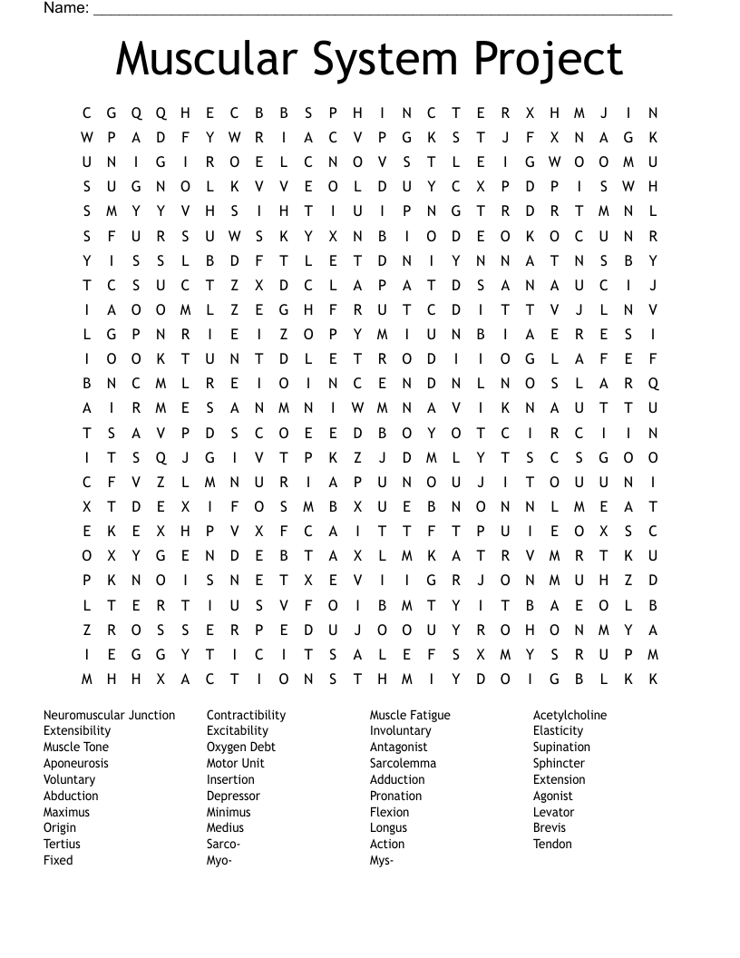 Muscular System Project Word Search