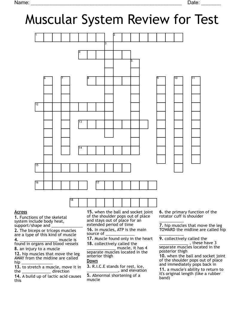 Muscular System Review for Test Crossword
