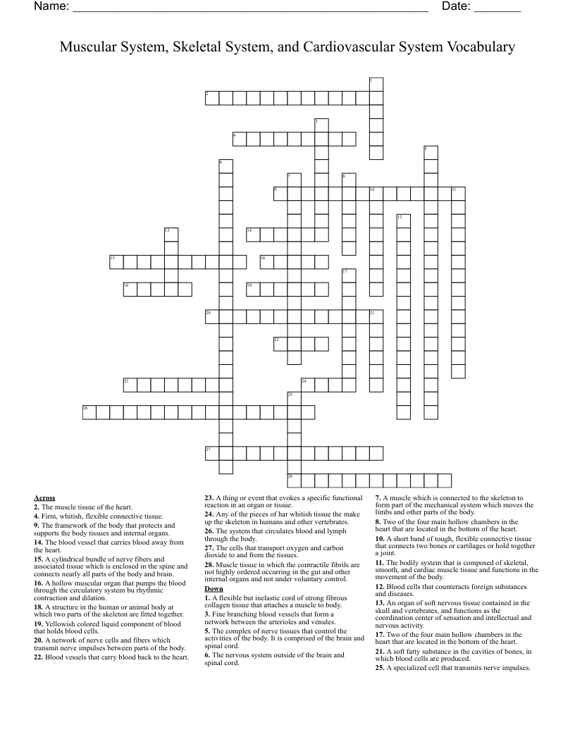 Muscular System, Skeletal System, and Cardiovascular System Vocabulary Crossword