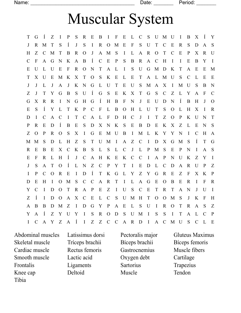 Muscular System  Word Search