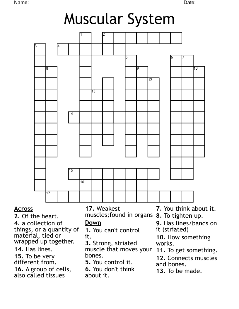 Muscular System  Crossword