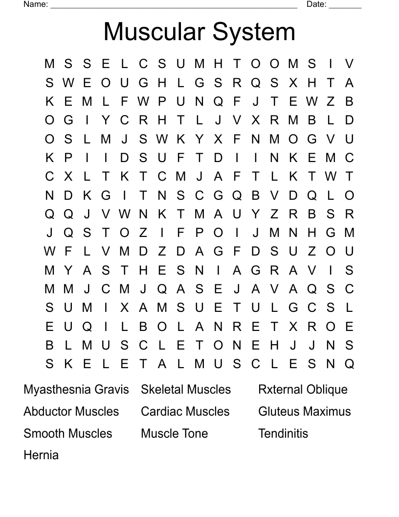 Muscular System  Word Search