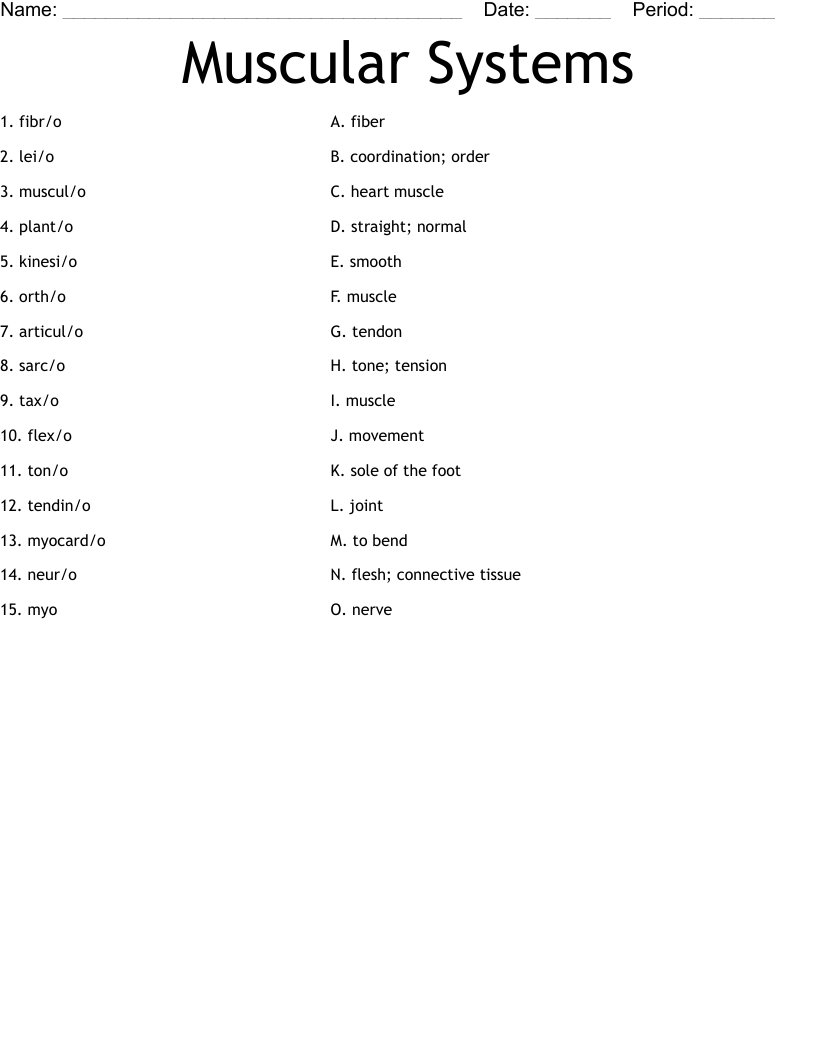 Muscular Systems  Worksheet