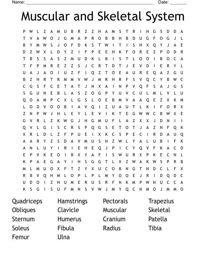 Muscular and Skeletal System Word Search
