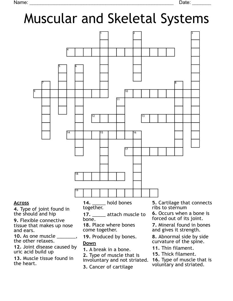 Muscular and Skeletal Systems Crossword