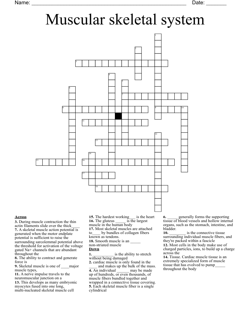 Muscular skeletal system  Crossword