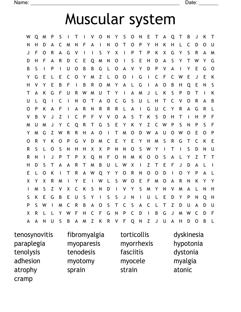 Muscular system Word Search