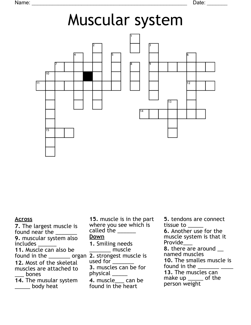 Muscular system Crossword