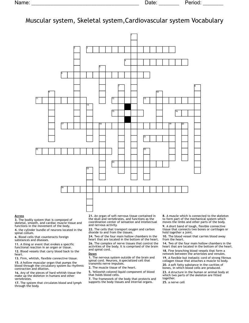 Muscular system, Skeletal system,Cardiovascular system Vocabulary Crossword