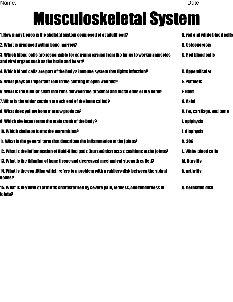 Musculoskeletal System Worksheet