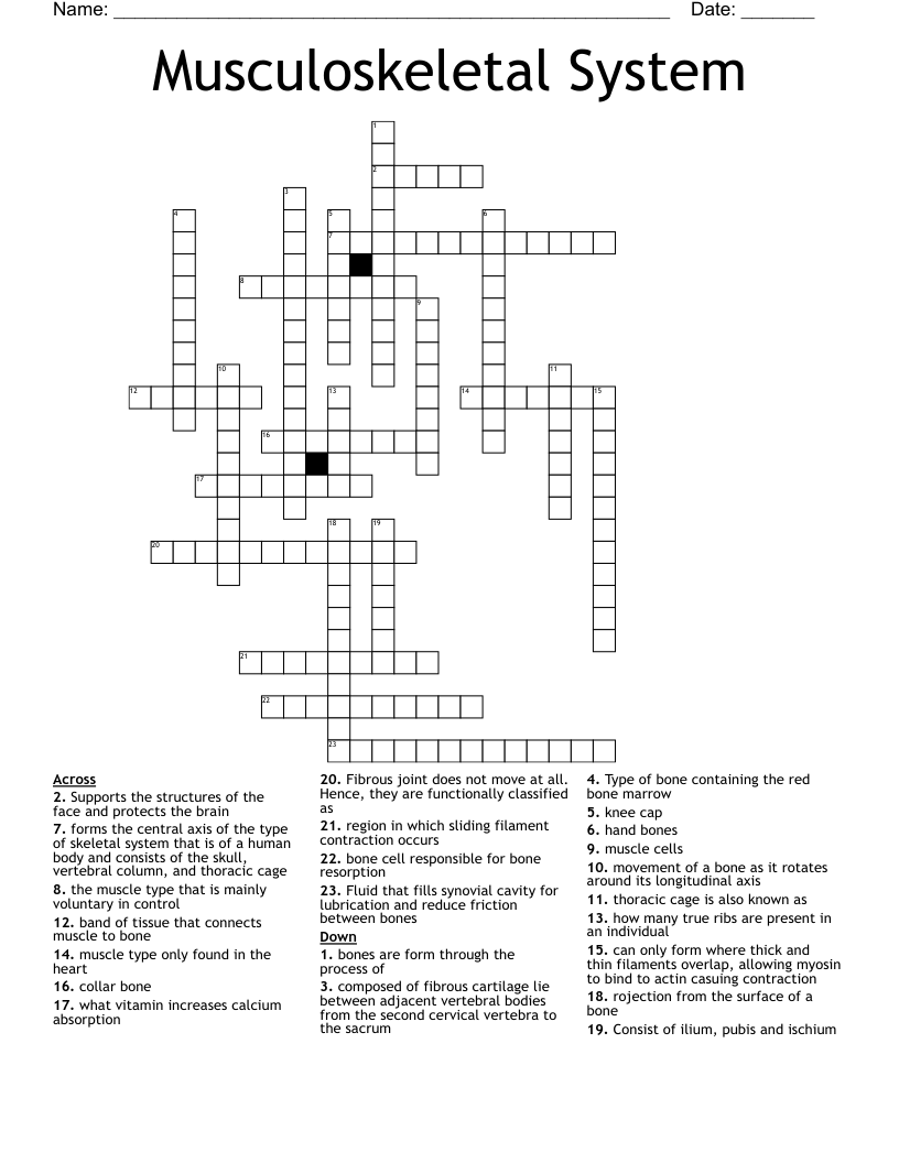 Musculoskeletal System Crossword