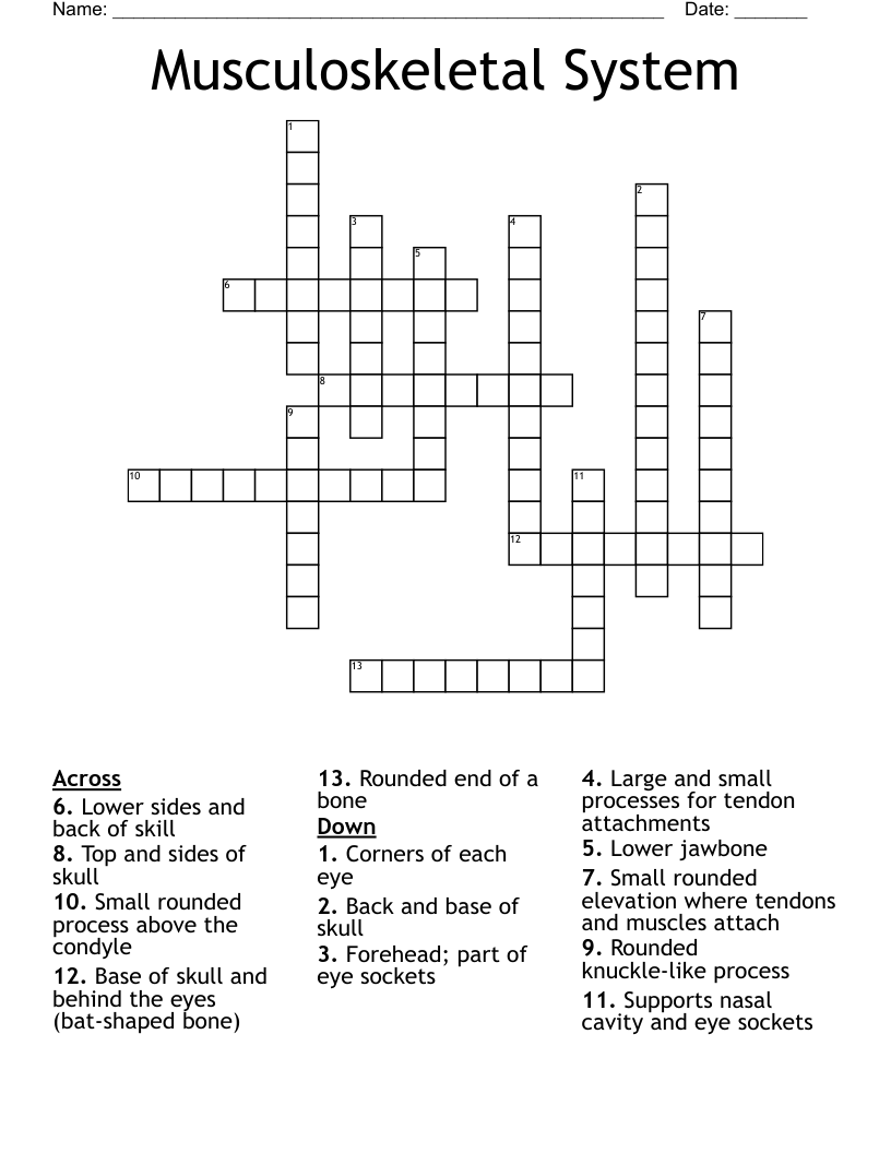 Musculoskeletal System Crossword